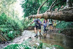 BIB: 
                            <button type="button" onclick="openModal(25476489)" class="btn btn-primary btn-sm float-right btn-popup" data-toggle="modal" data-target=".modal-high-quality">
                        <i class="fas fa-shopping-cart"></i> Add to Cart
                    </button>
                                            <button type="button" onclick="isThisMe(25476489, true)" class="btn btn-success btn-sm float-right btn-popup btn-isme hidden" data-toggle="tooltip" data-placement="bottom" title="นี่คือรูปของคุณใช่ไหม คลิกที่นี่เพื่อเอาเข้าอัลบั้ม">
                        <i class="fas fa-plus"></i> Add to album
                    </button>
                    <button type="button" onclick="isThisMe(25476489, false)" class="btn btn-warning btn-sm float-right btn-popup btn-isnotme hidden">
                        <i class="fas fa-ban"></i> Remove from album
                    </button>